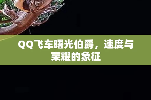 QQ飞车曙光伯爵图片