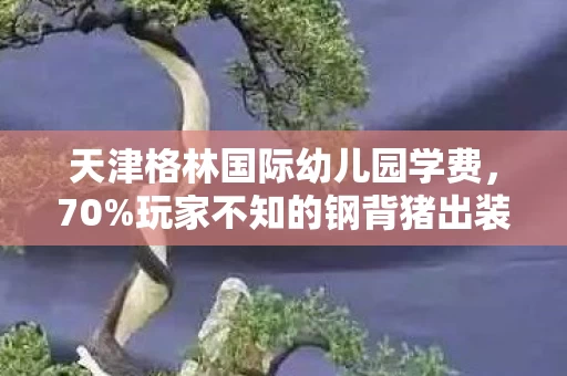 天津格林国际幼儿园学费，70%玩家不知的钢背猪出装，扎心真相竟藏在这神秘三件套里！