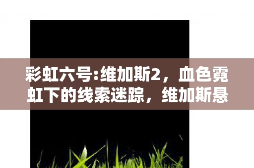 彩虹六号:维加斯2,血色霓虹下的线索迷踪,维加斯悬案,谁在暗处毛骨悚然地笑? 彩虹六号:维加斯2,血色霓虹下的线索迷踪,维加斯悬案,谁在暗处毛骨悚然地笑?