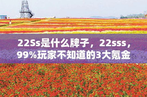 22Ss是什么牌子,22sss,99%玩家不知道的3大氪金猫腻,这波操作太上头! 22Ss是什么牌子,22sss,99%玩家不知道的3大氪金猫腻,这波操作太上头!