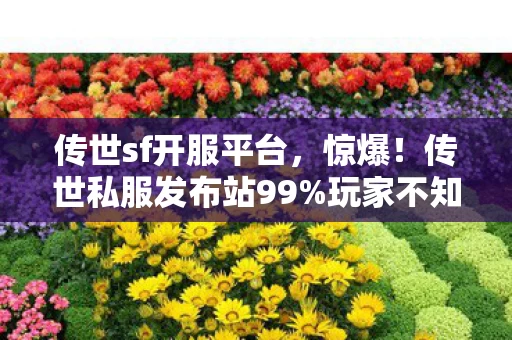 传世sf开服平台，惊爆！传世私服发布站99%玩家不知的隐藏机制，一夜逆袭成神！