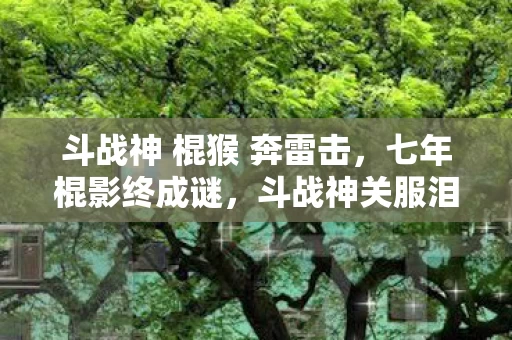 斗战神 棍猴 奔雷击，七年棍影终成谜，斗战神关服泪目时