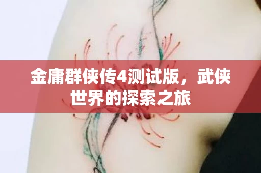 金庸群侠传4测试版图片