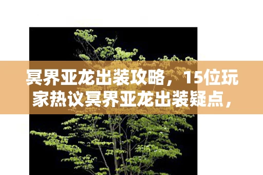 冥界亚龙出装攻略，15位玩家热议冥界亚龙出装疑点，这操作真让人绷不住！