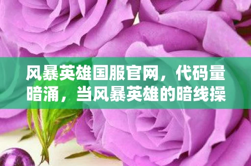 风暴英雄国服官网，代码量暗涌，当风暴英雄的暗线操控，让我头皮发麻地统治虚拟世界