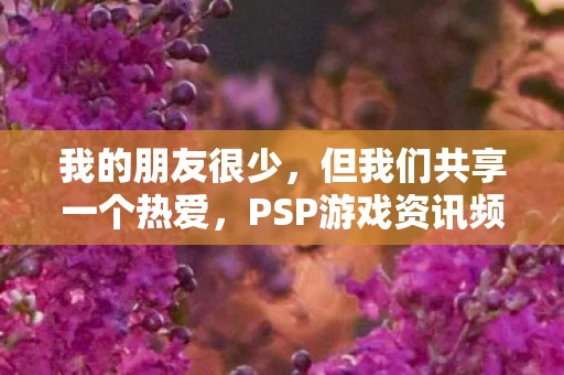 但我们共享一个热爱图片