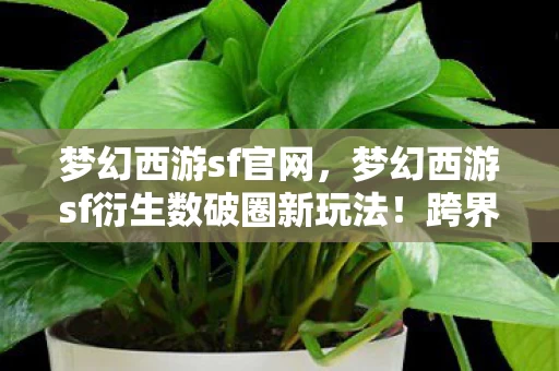 梦幻西游sf官网，梦幻西游sf衍生数破圈新玩法！跨界联名竟爬进你妈手机壳，意想不到！