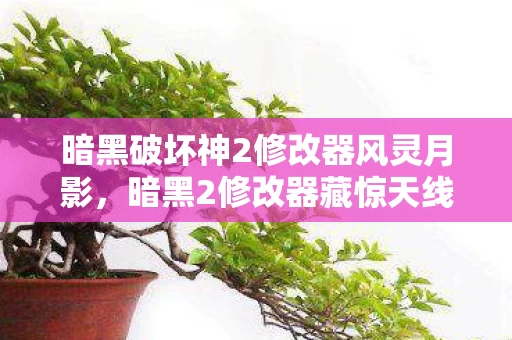 暗黑破坏神2修改器风灵月影,暗黑2修改器藏惊天线索,悬案背后毛骨悚然真相待解 暗黑破坏神2修改器风灵月影,暗黑2修改器藏惊天线索,悬案背后毛骨悚然真相待解