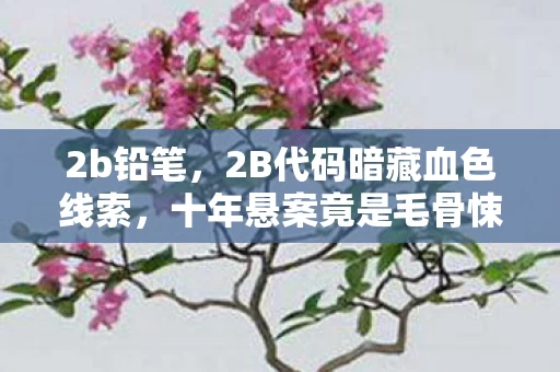 2b铅笔,2B代码暗藏血色线索,十年悬案竟是毛骨悚然的自我囚笼 2b铅笔,2B代码暗藏血色线索,十年悬案竟是毛骨悚然的自我囚笼