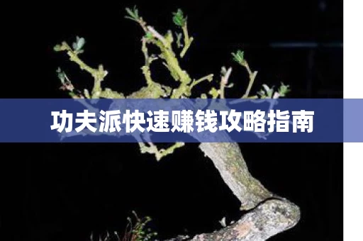 功夫派快速赚钱攻略指南图片