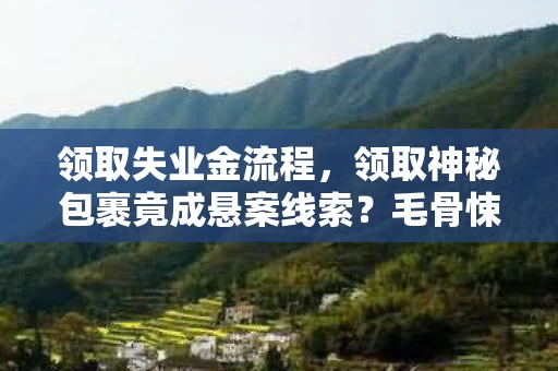 领取失业金流程，领取神秘包裹竟成悬案线索？毛骨悚然真相等你来破！