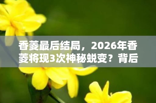 香菱最后结局,2026年香菱将现3次神秘蜕变?背后真相令人咋舌! 香菱最后结局,2026年香菱将现3次神秘蜕变?背后真相令人咋舌!