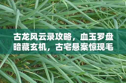 古龙风云录攻略,血玉罗盘暗藏玄机,古宅悬案惊现毛骨悚然真相! 古龙风云录攻略,血玉罗盘暗藏玄机,古宅悬案惊现毛骨悚然真相!