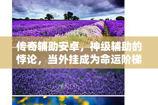 传奇辅助安卓，神级辅助的悖论，当外挂成为命运阶梯，自由意志在数据洪流中震颤