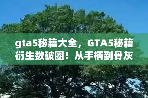 gta5秘籍大全,GTA5秘籍衍生数破圈!从手柄到骨灰盒,败家玩家的意想不到人生 gta5秘籍大全,GTA5秘籍衍生数破圈!从手柄到骨灰盒,败家玩家的意想不到人生