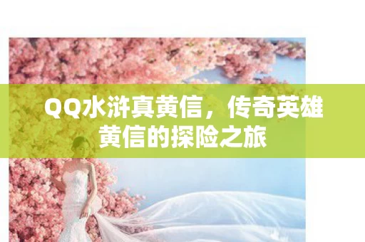 传奇英雄黄信的探险之旅图片