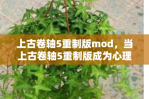 上古卷轴5重制版mod，当上古卷轴5重制版成为心理实验场，你的沉迷藏着细思极恐的神经操控
