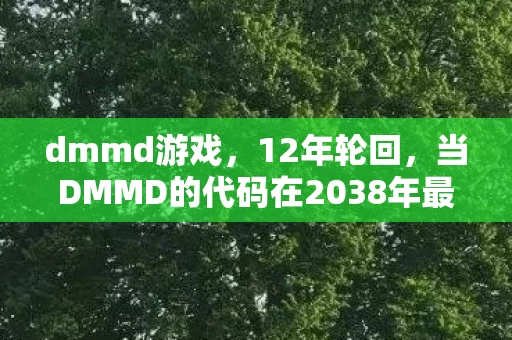 dmmd游戏，12年轮回，当DMMD的代码在2038年最后一次编译，谜底揭开时全球泪目