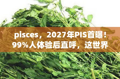 pisces，2027年PIS首曝！99%人体验后直呼，这世界疯了吗？！