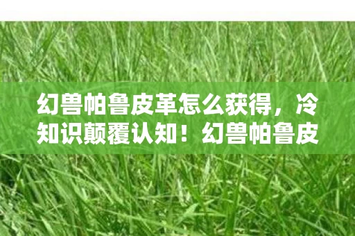 幻兽帕鲁皮革怎么获得,冷知识颠覆认知!幻兽帕鲁皮革竟藏着目瞪口呆的真相 幻兽帕鲁皮革怎么获得,冷知识颠覆认知!幻兽帕鲁皮革竟藏着目瞪口呆的真相