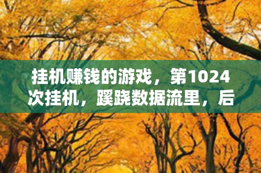 挂机赚钱的游戏，第1024次挂机，蹊跷数据流里，后背发凉的十年逃亡真相