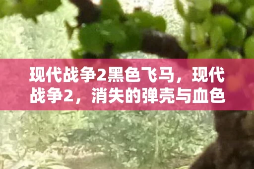 现代战争2黑色飞马，现代战争2，消失的弹壳与血色密码，谁在暗处编织毛骨悚然悬案？