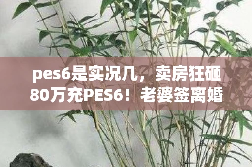 pes6是实况几,卖房狂砸80万充PES6!老婆签离婚协议时,我才知自己多疯魔 pes6是实况几,卖房狂砸80万充PES6!老婆签离婚协议时,我才知自己多疯魔