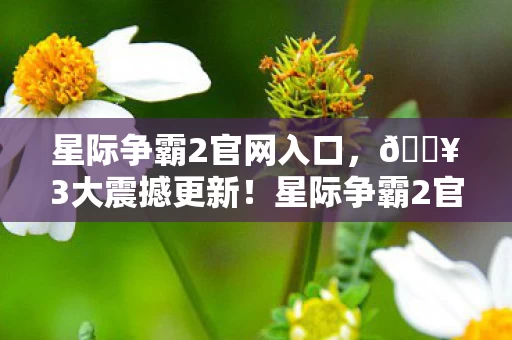 星际争霸2官网入口,🔥3大震撼更新!星际争霸2官网新版本让我热血沸腾到失眠! 星际争霸2官网入口,🔥3大震撼更新!星际争霸2官网新版本让我热血沸腾到失眠!