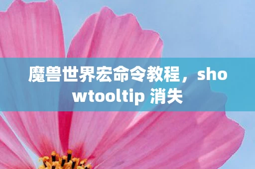 魔兽世界宏命令教程，showtooltip 消失