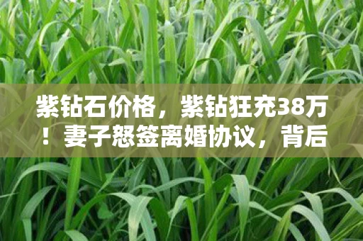 紫钻石价格,紫钻狂充38万!妻子怒签离婚协议,背后隐情让人吓一跳! 紫钻石价格,紫钻狂充38万!妻子怒签离婚协议,背后隐情让人吓一跳!