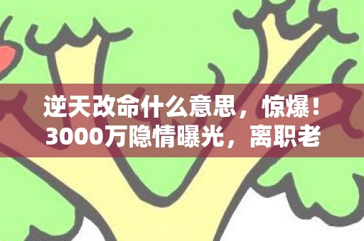 逆天改命什么意思,惊爆!3000万隐情曝光,离职老兵掀桌,这方案早该枪毙,吓一跳! 逆天改命什么意思,惊爆!3000万隐情曝光,离职老兵掀桌,这方案早该枪毙,吓一跳!