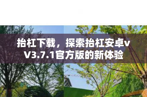 探索抬杠安卓vV3图片
