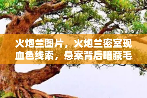 火炮兰图片，火炮兰密室现血色线索，悬案背后暗藏毛骨悚然真相