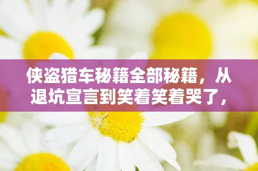 侠盗猎车秘籍全部秘籍，从退坑宣言到笑着笑着哭了，落差背后，真相竟如此扎心！