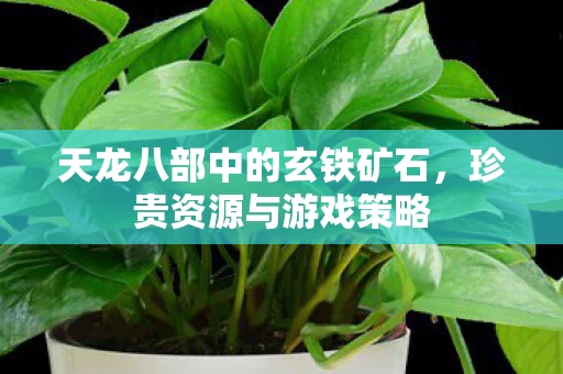 天龙八部中的玄铁矿石图片
