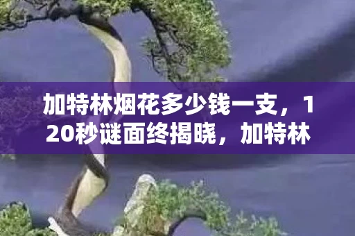 加特林烟花多少钱一支，120秒谜面终揭晓，加特林烟花的死亡倒计时，谁在泪目中见证消亡？