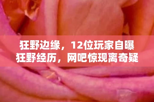 狂野边缘，12位玩家自曝狂野经历，网吧惊现离奇疑点，老炮当场绷不住！
