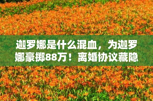 迦罗娜是什么混血，为迦罗娜豪掷88万！离婚协议藏隐情，这结局让人吓一跳！