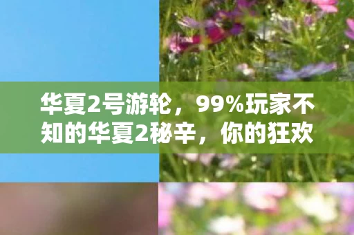 华夏2号游轮,99%玩家不知的华夏2秘辛,你的狂欢,竟是他人精心设计的局? 华夏2号游轮,99%玩家不知的华夏2秘辛,你的狂欢,竟是他人精心设计的局?