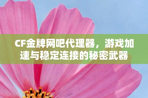 游戏加速与稳定连接的秘密武器图片