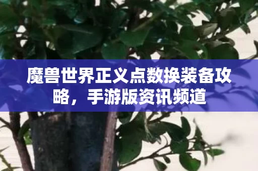 魔兽世界正义点数换装备攻略图片