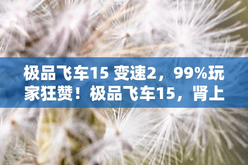极品飞车15 变速2,99%玩家狂赞!极品飞车15,肾上腺素飙升的300公里/时狂飙体验 极品飞车15 变速2,99%玩家狂赞!极品飞车15,肾上腺素飙升的300公里/时狂飙体验