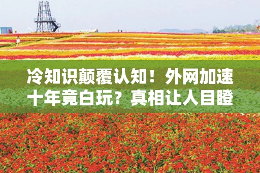 冷知识颠覆认知！外网加速十年竟白玩？真相让人目瞪口呆！