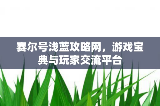 游戏宝典与玩家交流平台图片