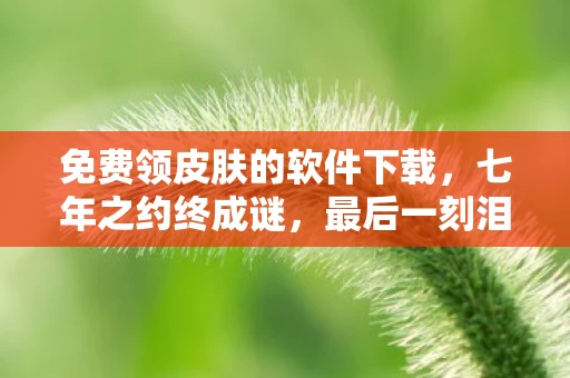 免费领皮肤的软件下载，七年之约终成谜，最后一刻泪目！免费皮肤见证兴衰