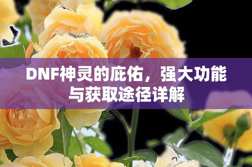 强大功能与获取途径详解图片