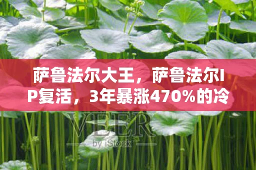 萨鲁法尔大王,萨鲁法尔IP复活,3年暴涨470%的冷门赛道,藏着比怀旧服更暴利的真相 萨鲁法尔大王,萨鲁法尔IP复活,3年暴涨470%的冷门赛道,藏着比怀旧服更暴利的真相