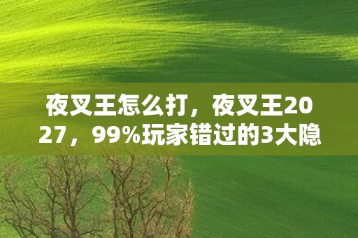 夜叉王怎么打,夜叉王2027,99%玩家错过的3大隐藏机制,通关后直呼血亏! 夜叉王怎么打,夜叉王2027,99%玩家错过的3大隐藏机制,通关后直呼血亏!