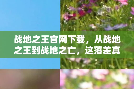 战地之王官网下载,从战地之王到战地之亡,这落差真相,笑着笑着就哭成了狗 战地之王官网下载,从战地之王到战地之亡,这落差真相,笑着笑着就哭成了狗