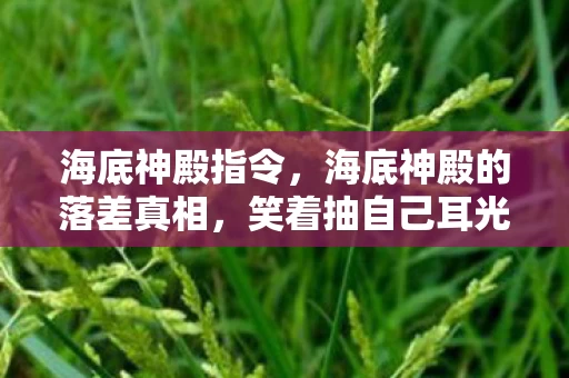 海底神殿指令，海底神殿的落差真相，笑着抽自己耳光，笑着笑着却哭了